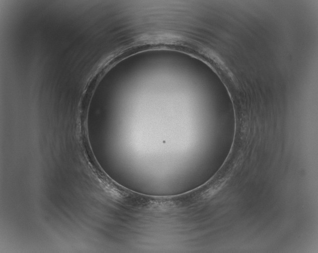 X0000073990978200608281309