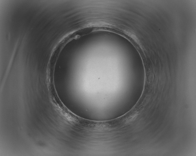 X0000073990979200608281309