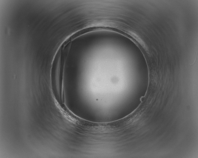 X0000073990980200608281309