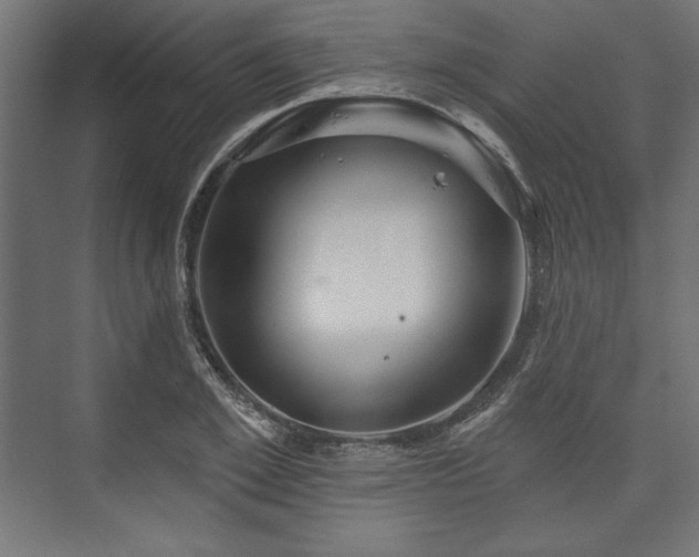 X0000073990981200608281309