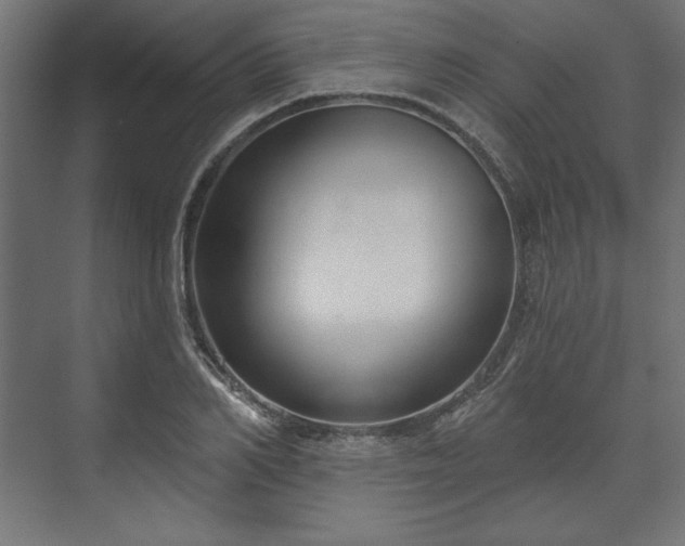 X0000073990982200608281309