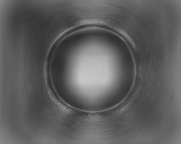 X0000073990983200608281309