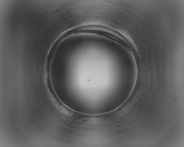 X0000073990984200608281309