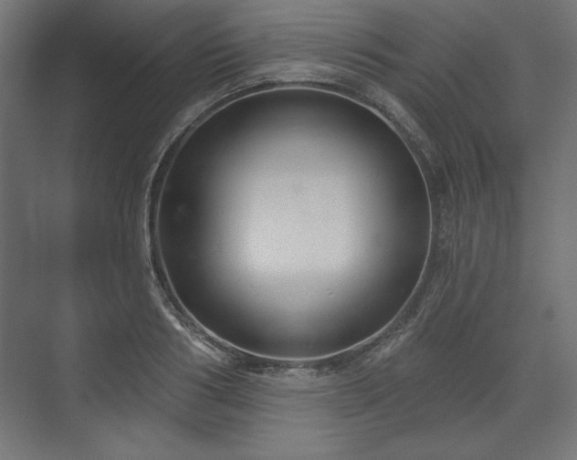 X0000073990986200608281309