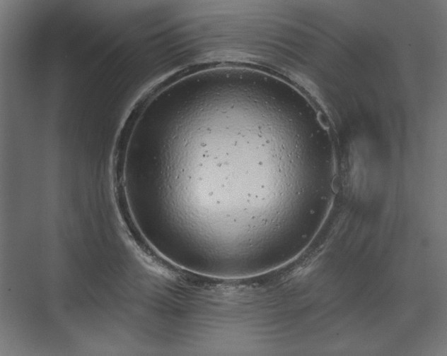 X0000073990987200608281309