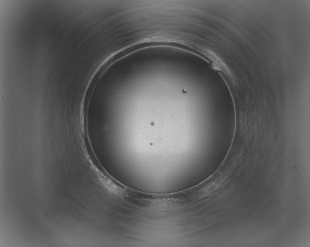 X0000073990988200608281309