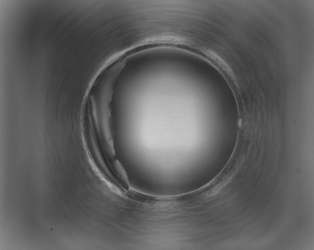 X0000073990989200608281309