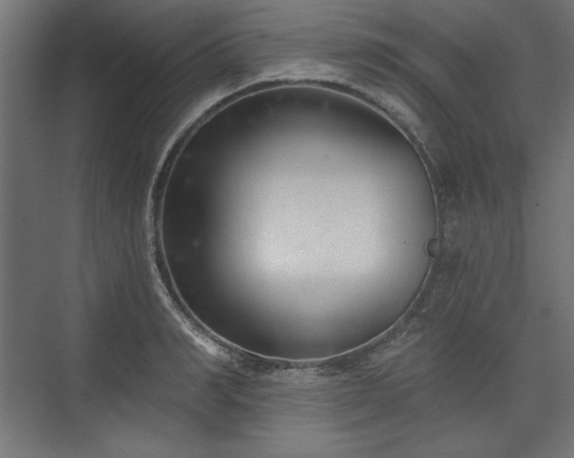 X0000073990990200608281309