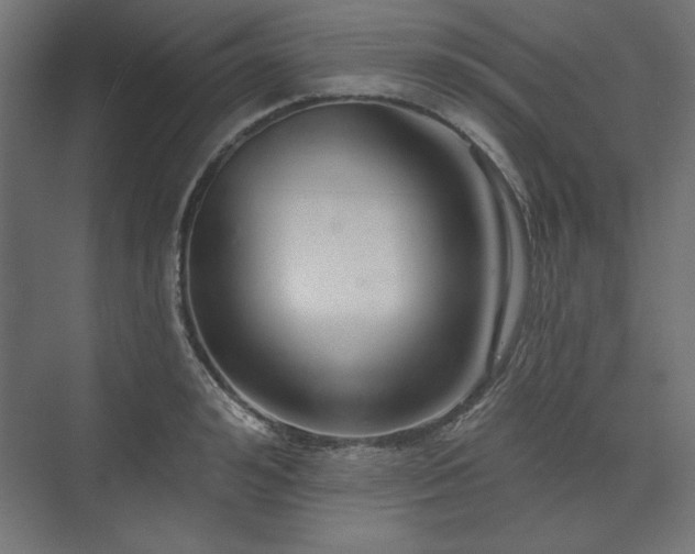 X0000073990992200608281309