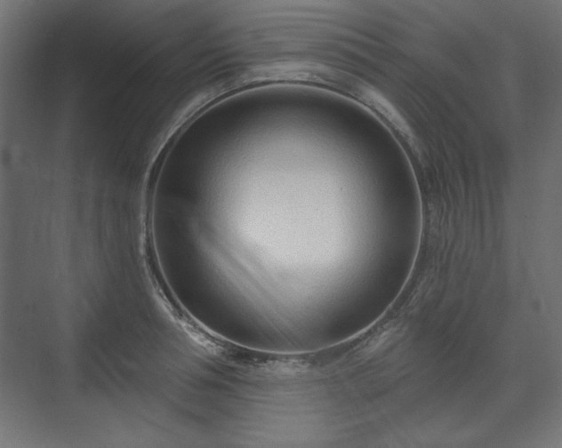 X0000073990994200608281309