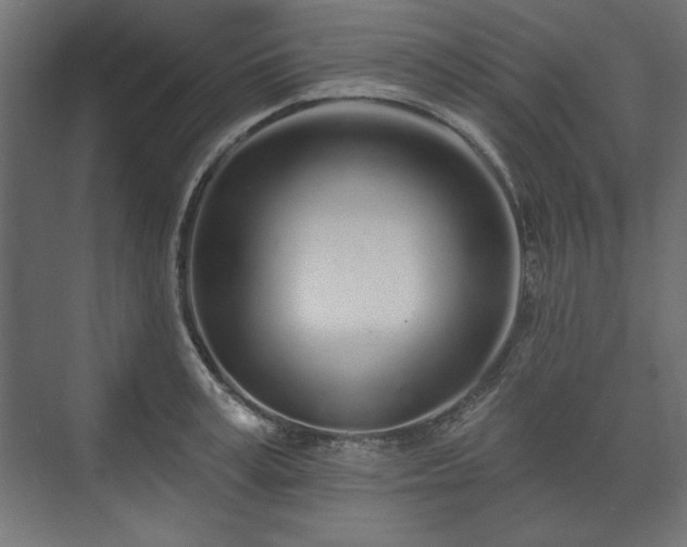 X0000073990995200608281309