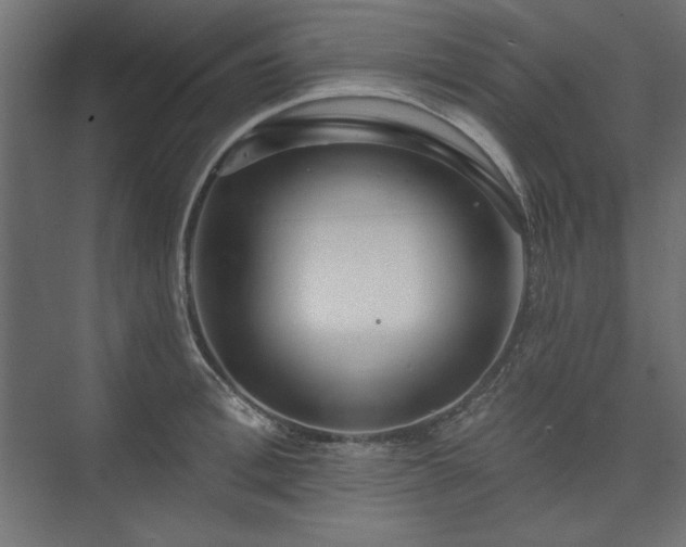 X0000073990996200608281309