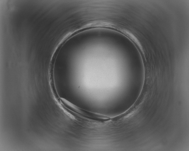 X0000073990997200608281309