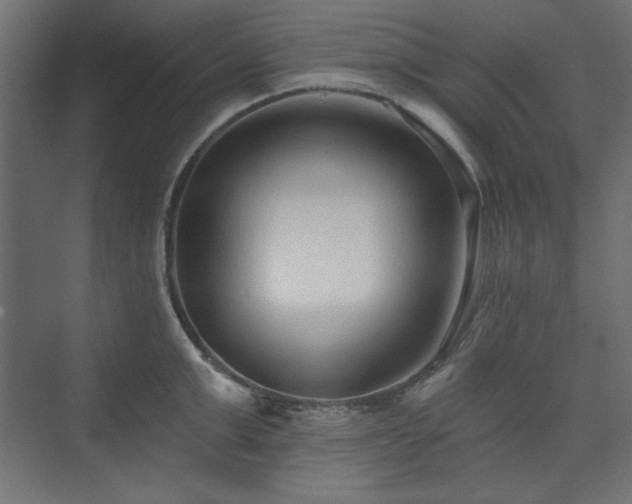 X0000073990999200608281309