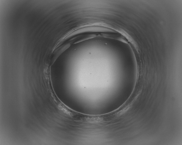 X0000073991001200608281309