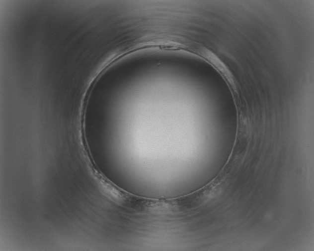 X0000073991002200608281309