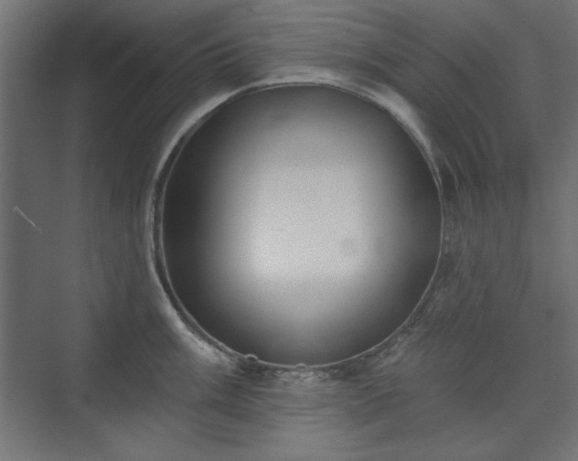 X0000073991003200608281309