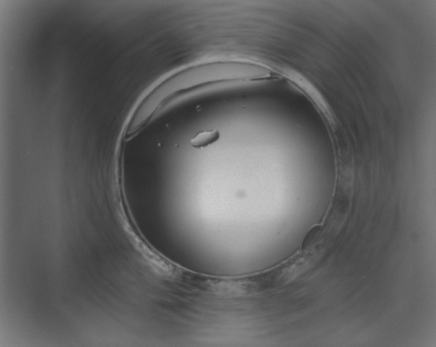 X0000073991004200608281309