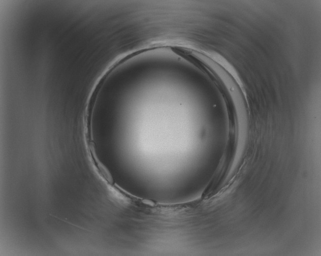 X0000073991005200608281309