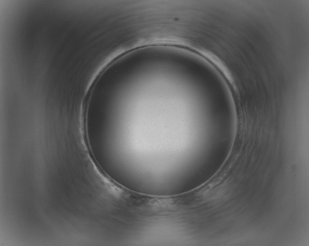 X0000073991006200608281309