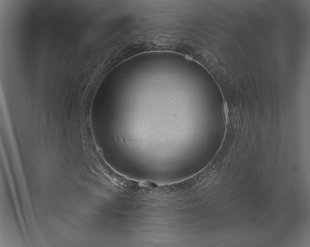 X0000073991009200608281308