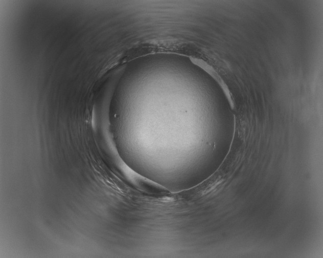 X0000073991010200608281308