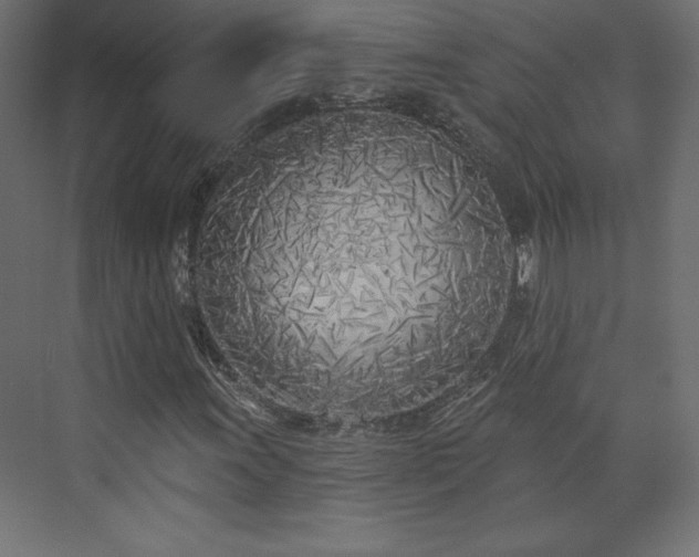 X0000073991011200608281308