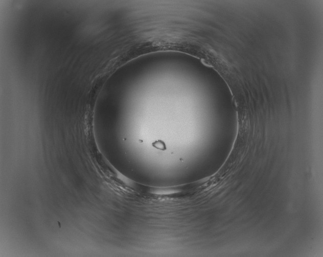 X0000073991012200608281308