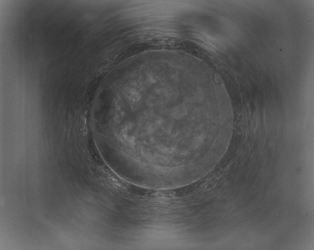 X0000073991013200608281308