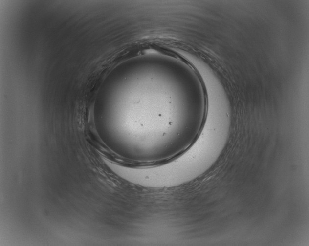 X0000073991014200608281308