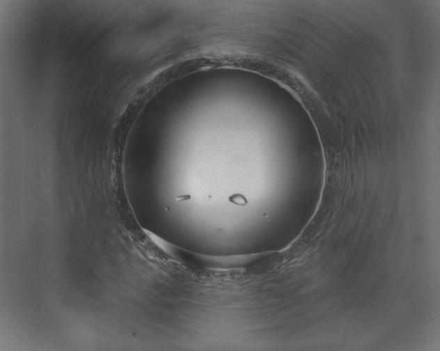 X0000073991016200608281308