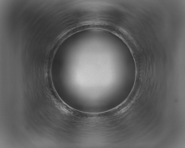 X0000073991017200608281308