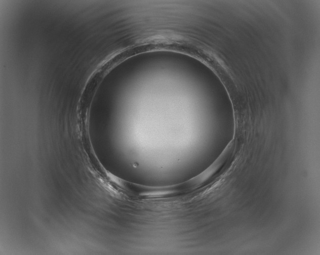 X0000073991018200608281308