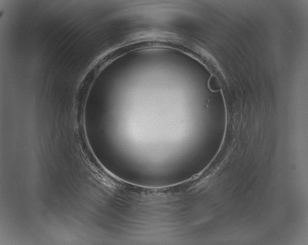 X0000073991019200608281308