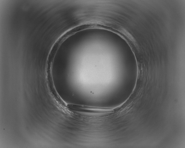 X0000073991020200608281308