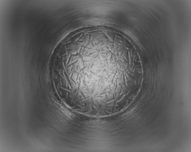 X0000073991023200608281308