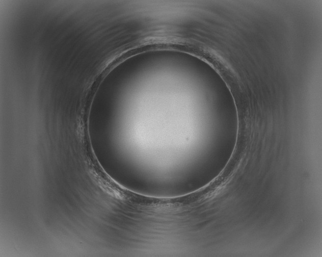 X0000073991025200608281308