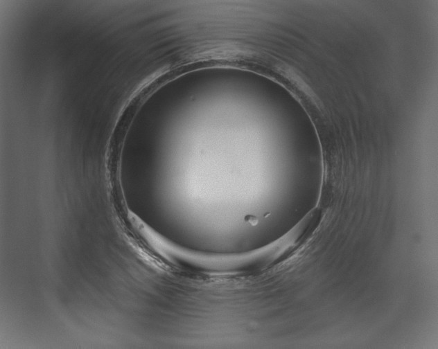 X0000073991026200608281308