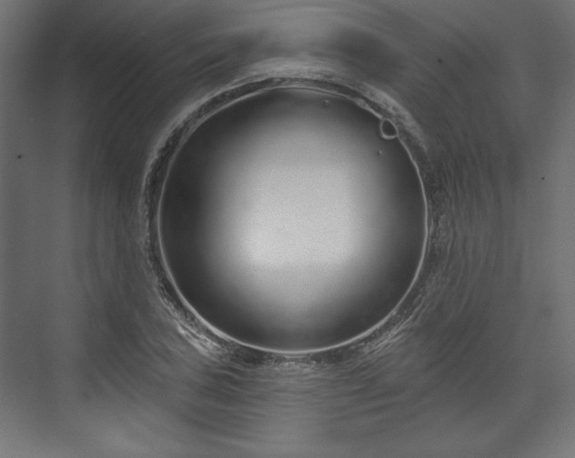 X0000073991027200608281308