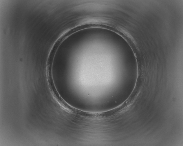 X0000073991029200608281308