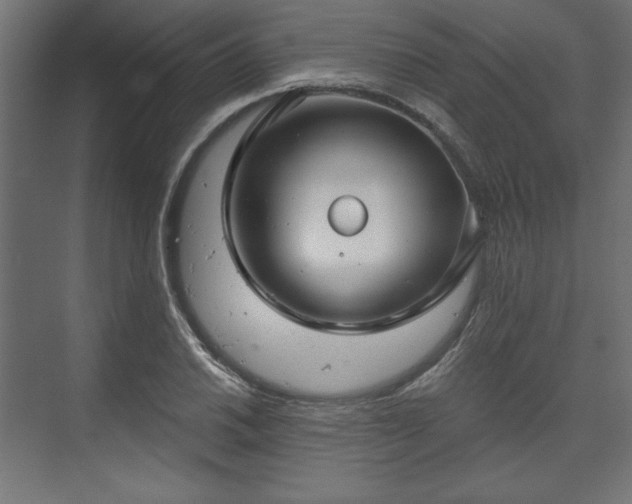 X0000073991030200608281308