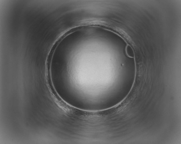 X0000073991031200608281308