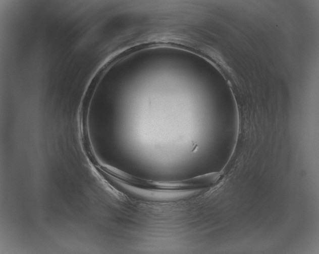 X0000073991032200608281308