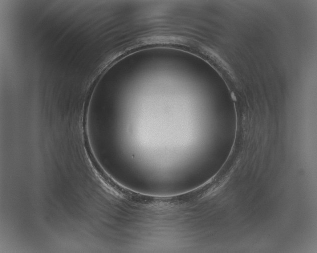 X0000073991033200608281308