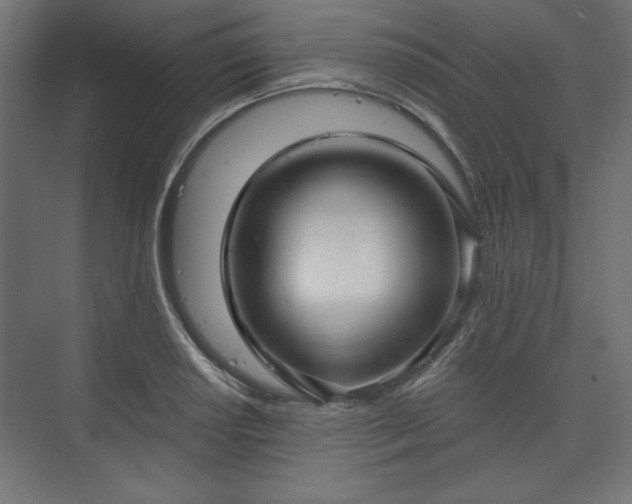 X0000073991034200608281308