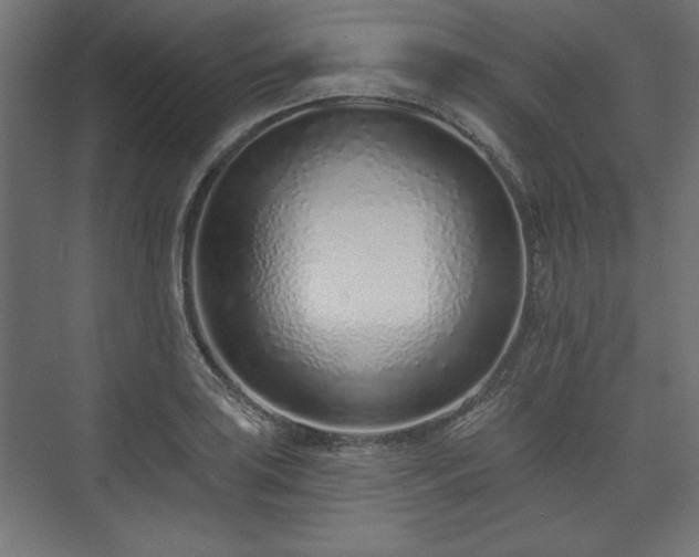 X0000073991035200608281308