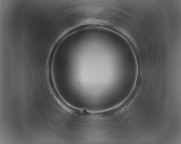 X0000073991037200608281308