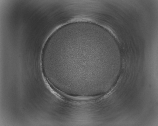 X0000073991038200608281308