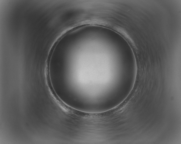 X0000073991040200608281309