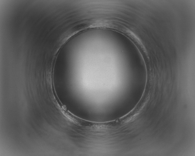 X0000073991041200608281309